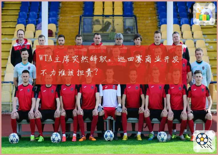 WTA主席突然辞职，巡回赛商业开发不力谁该担责？