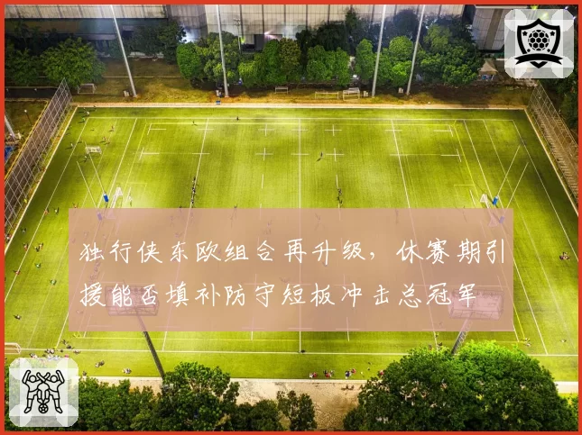 独行侠东欧组合再升级，休赛期引援能否填补防守短板冲击总冠军