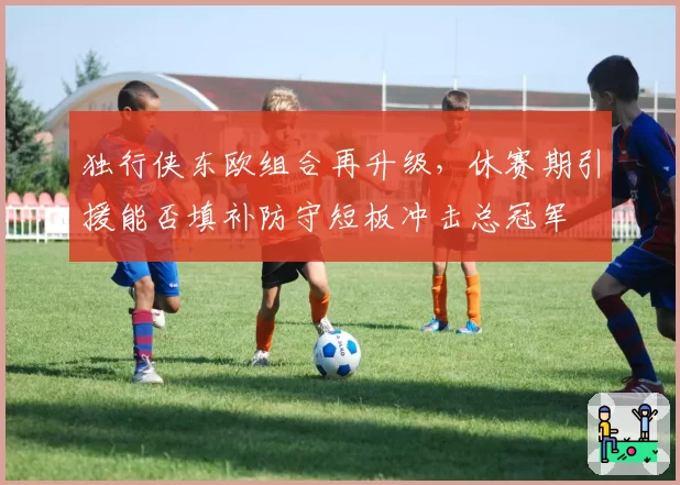 独行侠东欧组合再升级，休赛期引援能否填补防守短板冲击总冠军